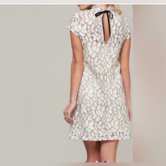 H&M Sheer Sheath Lace Dresses Cream with black detailing back ribbon tie Lined - Picture 13 of 17